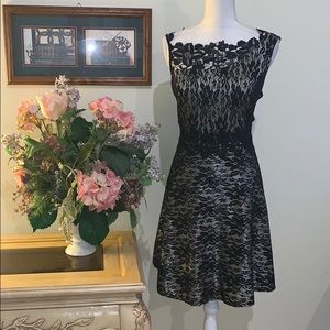 One by Eight | Gorgeous Lace Fit-N-Flare Dress